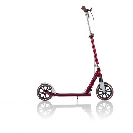 Trottinette NL 205 DELUXE grandes roues