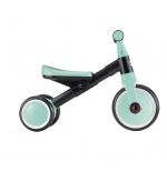 Tricycle LEARNING 2EN1