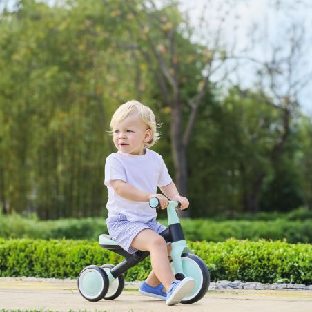 Tricycle LEARNING 2EN1